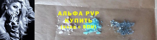 твердый Пересвет