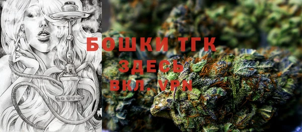 прущий лед Алексин