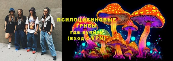прущий лед Алексин