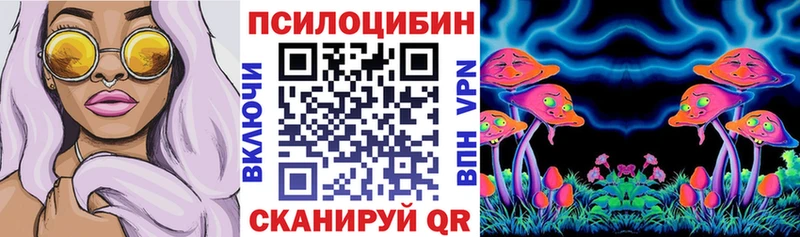 наркотики  Нефтекумск  кракен рабочий сайт  Псилоцибиновые грибы MAGIC MUSHROOMS 